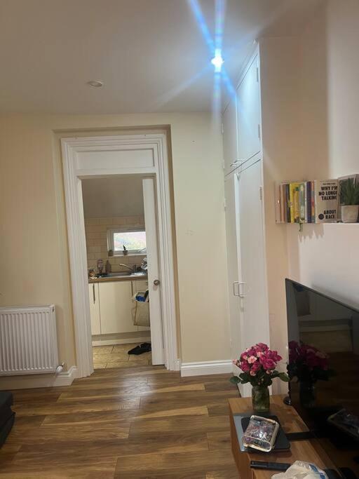 Large Modern Studio Flat Apartment ลอนดอน ภายนอก รูปภาพ